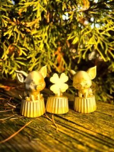 WhatsApp Image 2026-01-21 at 18.16.50