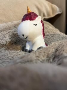 WhatsApp Image 2026-01-21 at 18.18.36 2